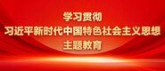 操,女人小逼。学习贯彻习近平新时代中国特色社会主义思想主题教育_fororder_ad-371X160(2)